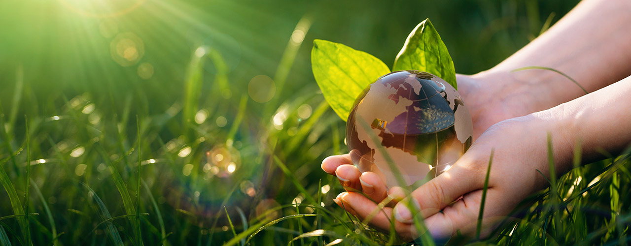 EPAL-Paletten &Ouml;kologie